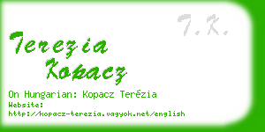 terezia kopacz business card